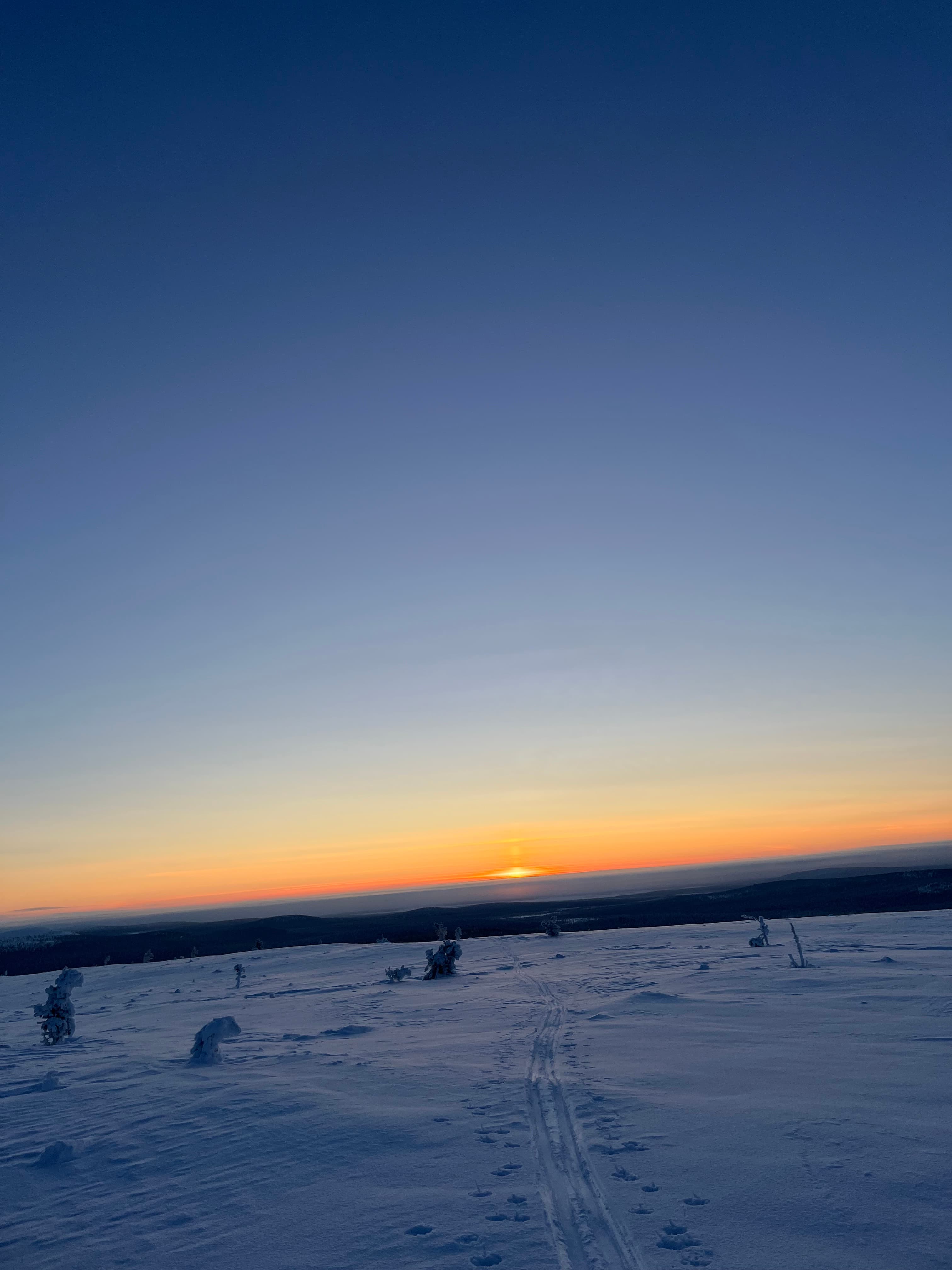 Google Workspace Backup Solution